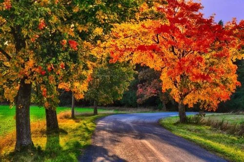 Tips for Safe Autumn Driving Image